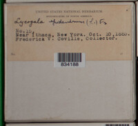 Image Associated With the Occurence